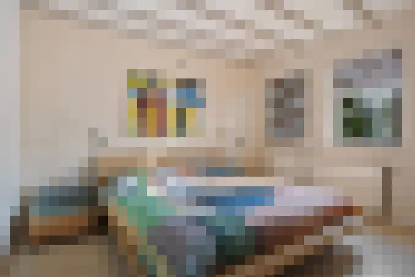Touwslagerstraat 87 Duiven thumbnail 34