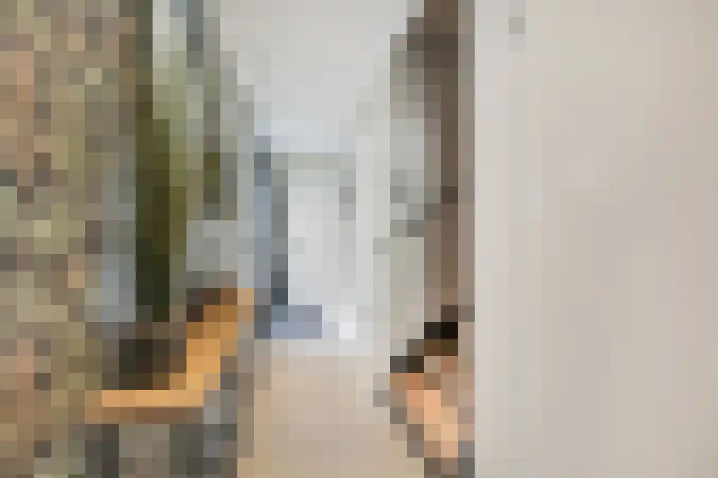 Touwslagerstraat 91 Duiven thumbnail 11