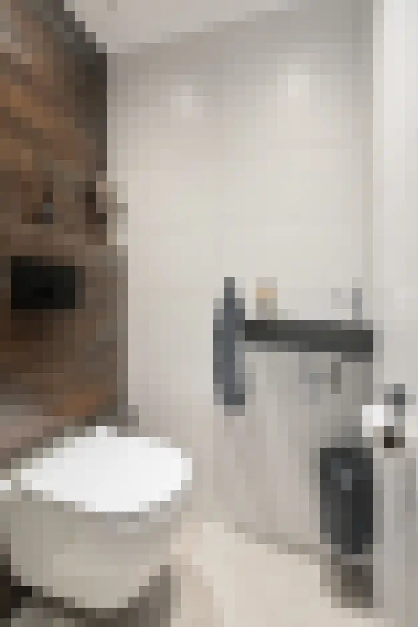 Touwslagerstraat 91 Duiven thumbnail 13
