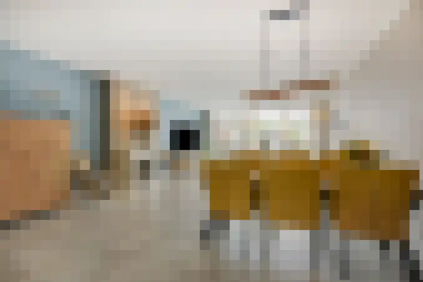 Touwslagerstraat 91 Duiven thumbnail 16