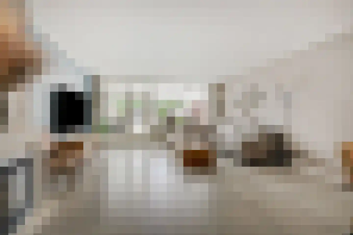 Touwslagerstraat 91 Duiven thumbnail 17