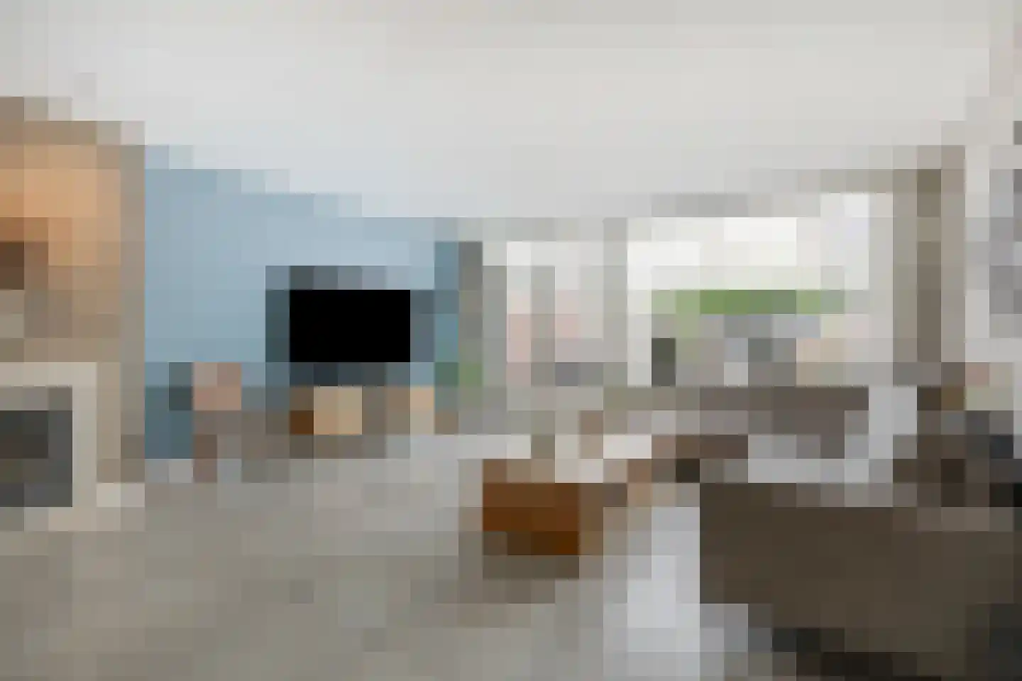 Touwslagerstraat 91 Duiven thumbnail 19