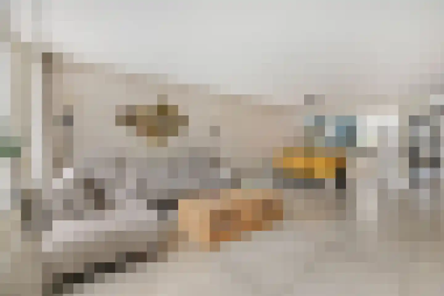 Touwslagerstraat 91 Duiven thumbnail 21