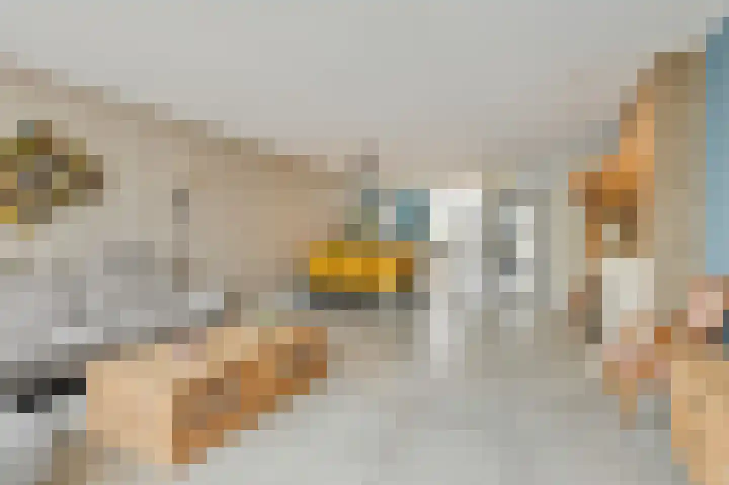 Touwslagerstraat 91 Duiven thumbnail 22