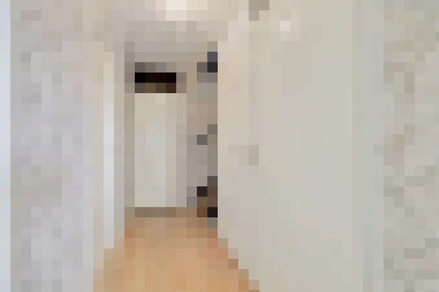 Touwslagerstraat 91 Duiven thumbnail 31