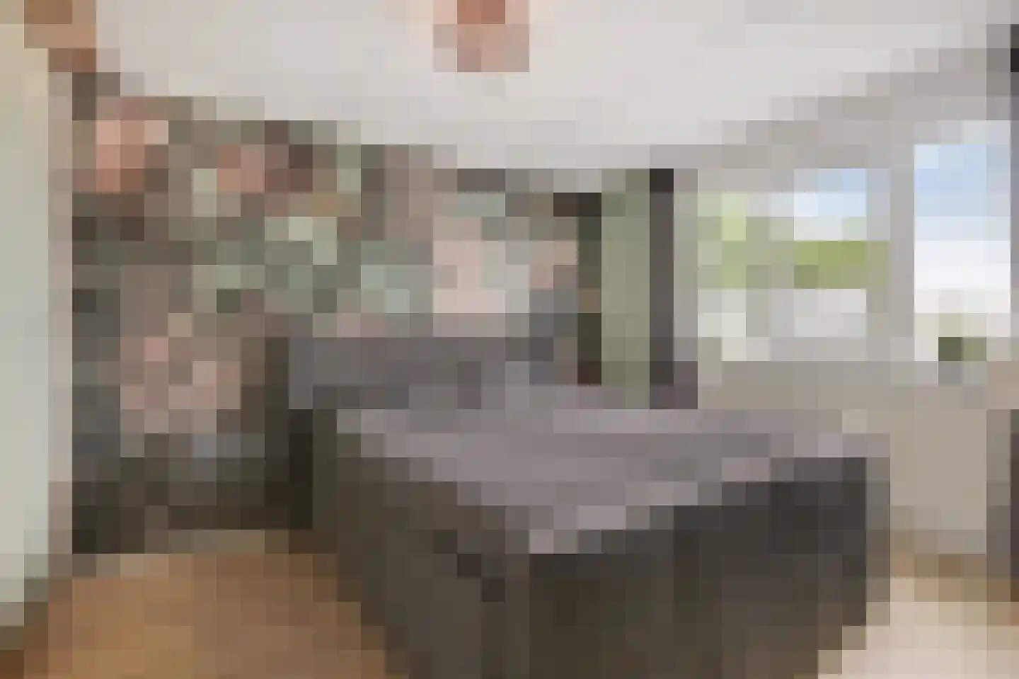 Touwslagerstraat 91 Duiven thumbnail 32