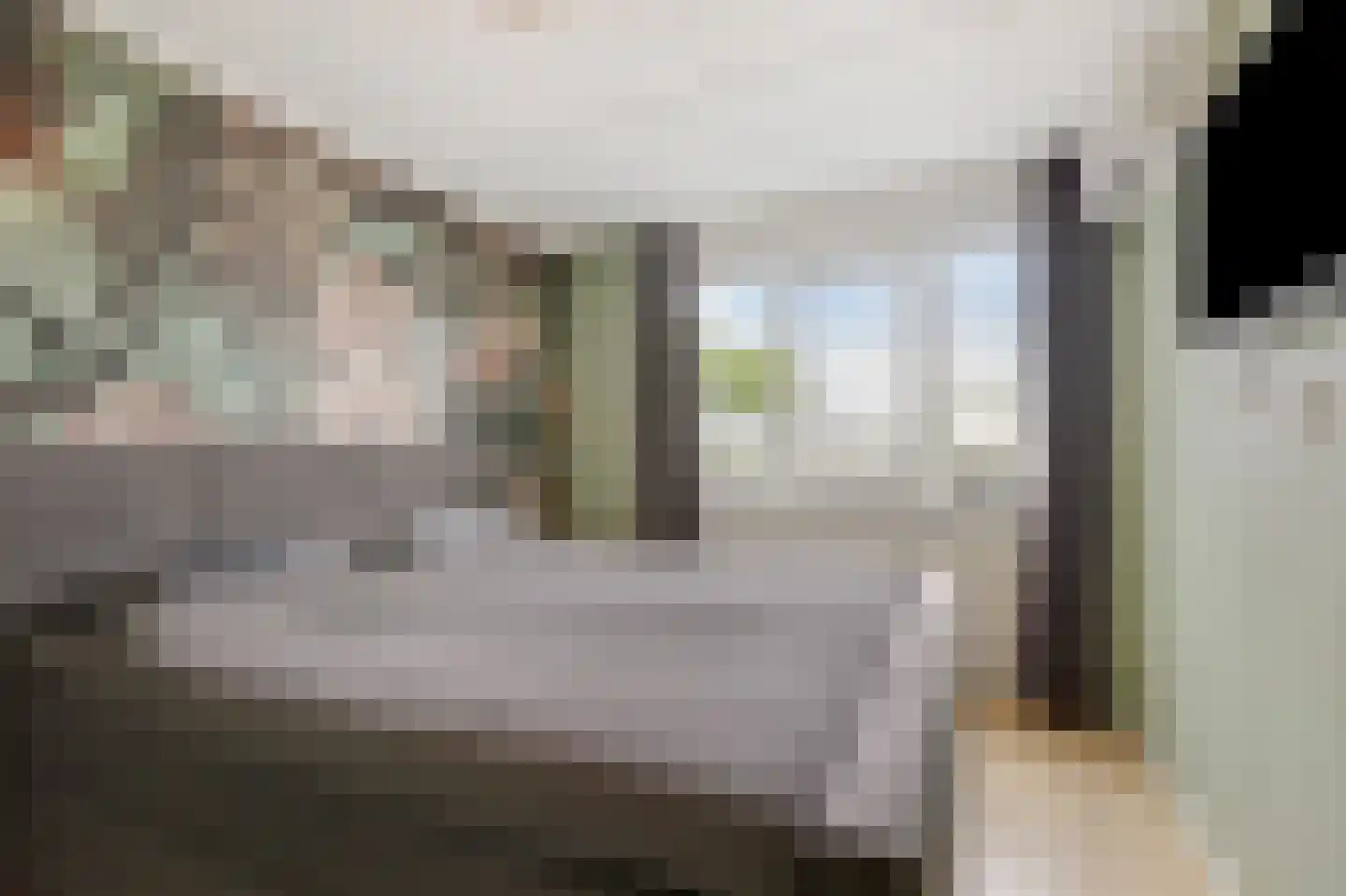 Touwslagerstraat 91 Duiven thumbnail 33