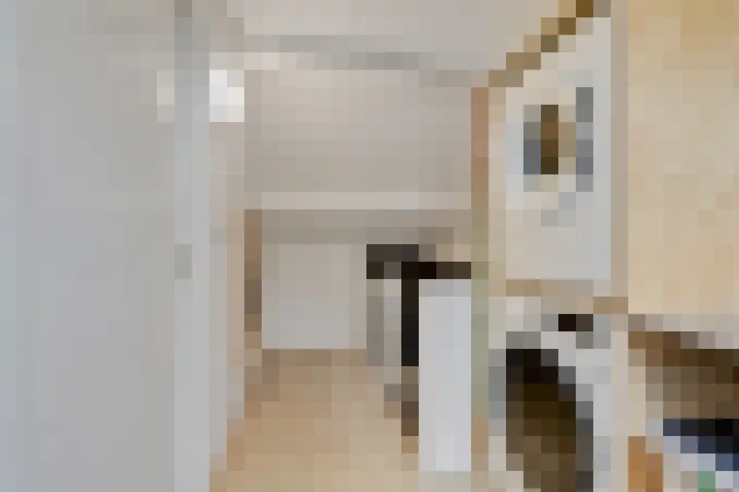 Touwslagerstraat 91 Duiven thumbnail 46