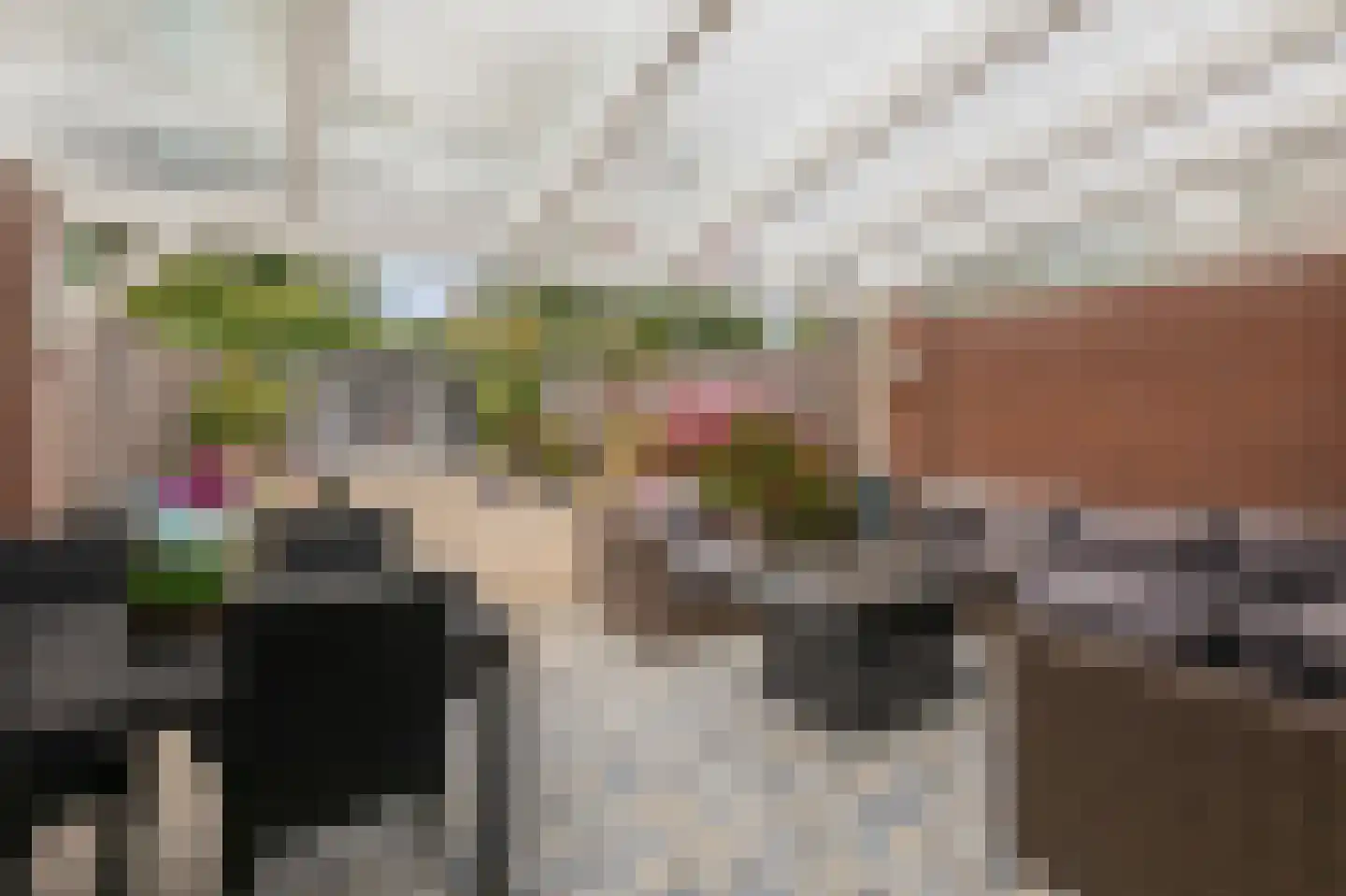 Touwslagerstraat 91 Duiven thumbnail 54