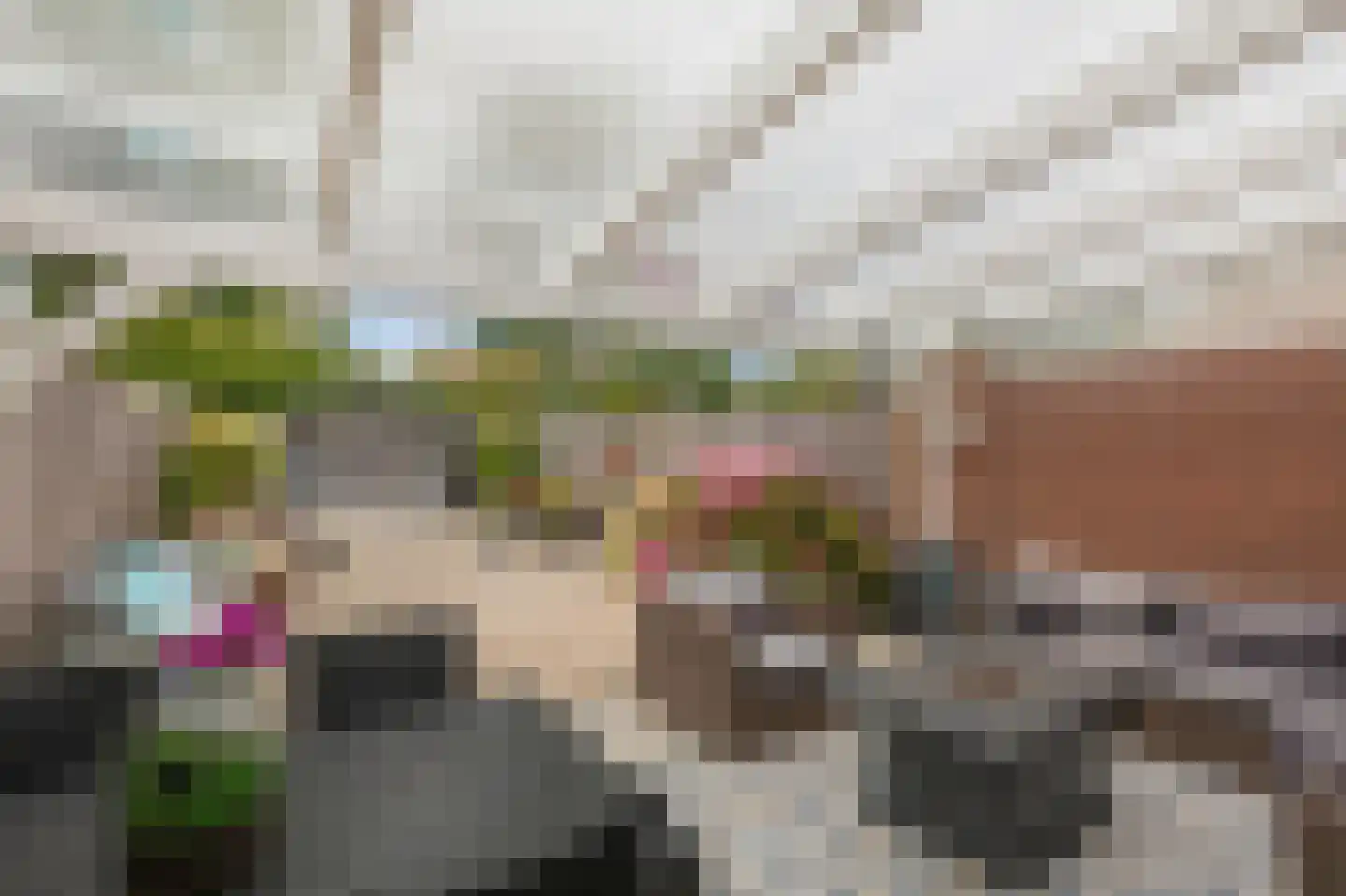 Touwslagerstraat 91 Duiven thumbnail 55