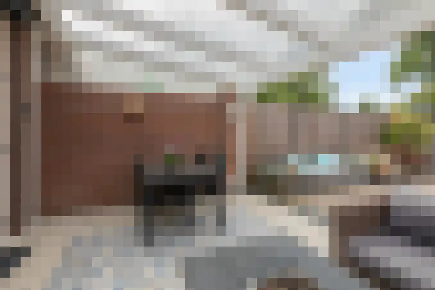 Touwslagerstraat 91 Duiven thumbnail 56