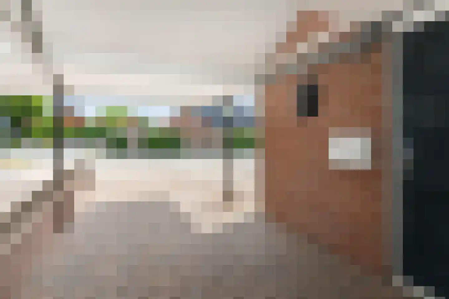 Touwslagerstraat 91 Duiven thumbnail 63