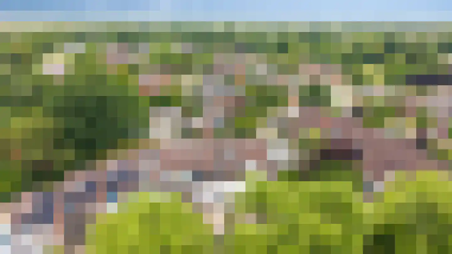 Touwslagerstraat 91 Duiven thumbnail 65