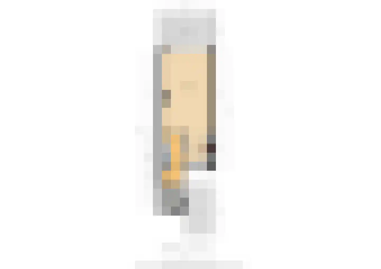 Touwslagerstraat 91 Duiven thumbnail 69