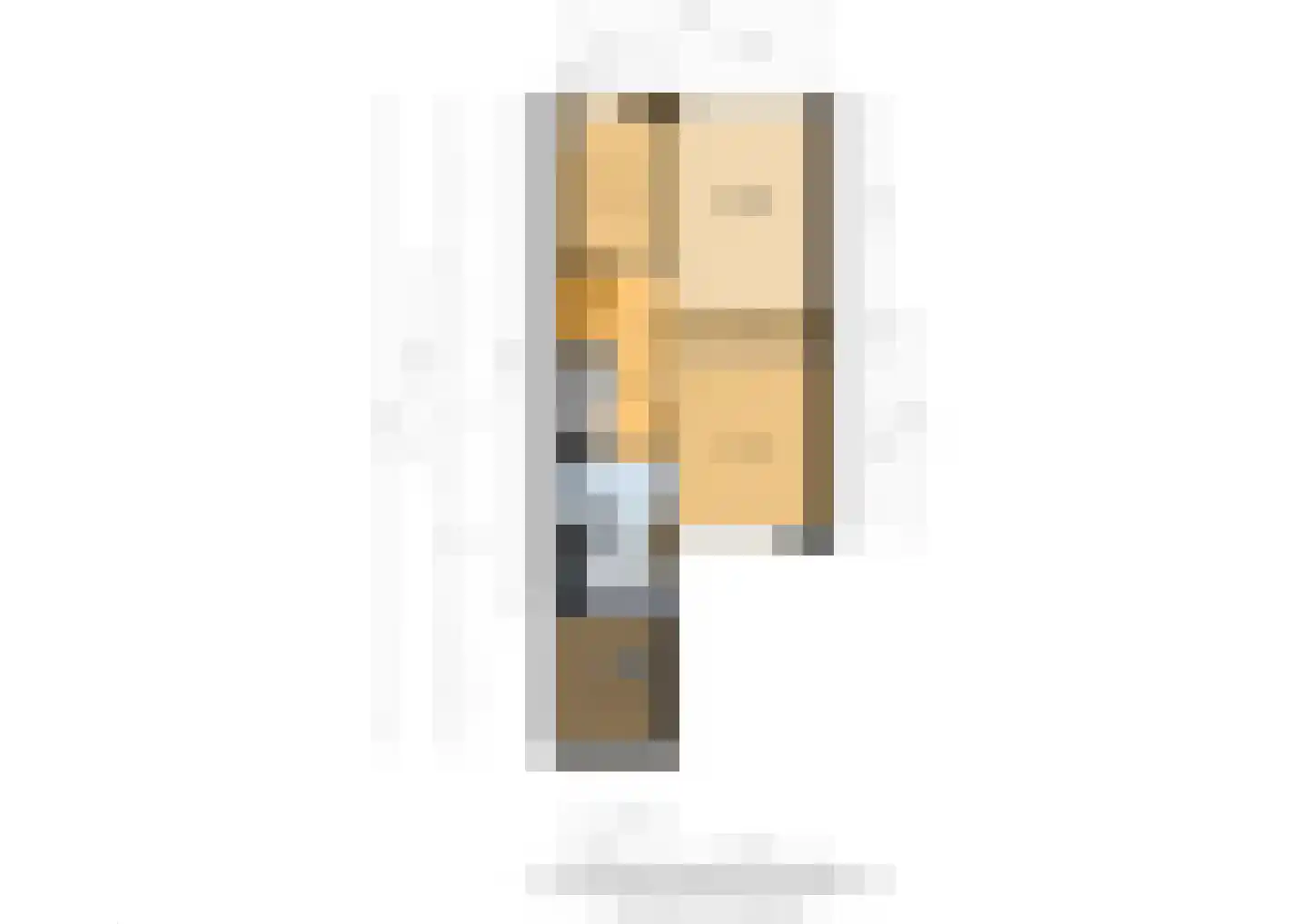 Touwslagerstraat 91 Duiven thumbnail 70