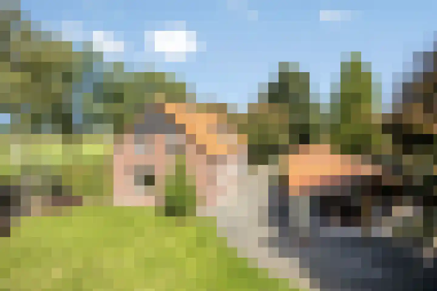 Toven 3 Ledeacker thumbnail 38