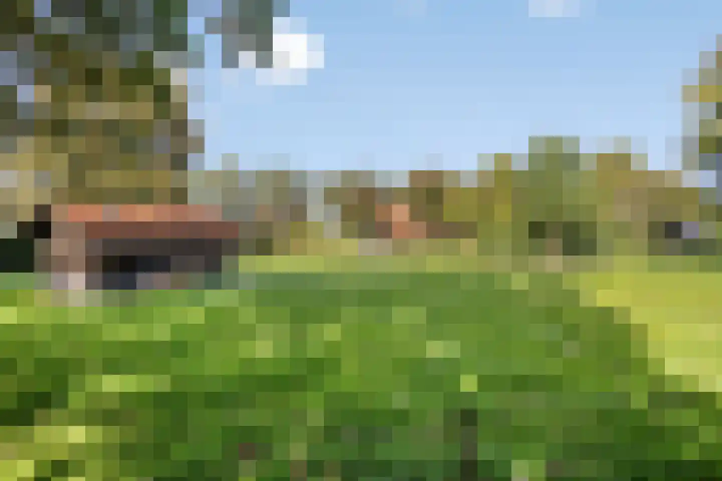 Toven 3 Ledeacker thumbnail 46