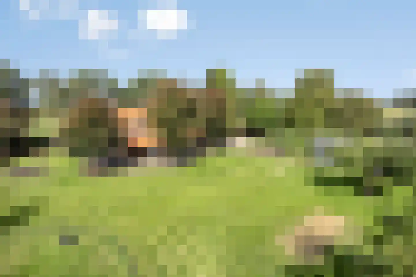 Toven 3 Ledeacker thumbnail 49