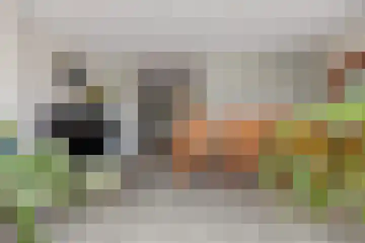 Toverberg 13 Veldhoven thumbnail 17