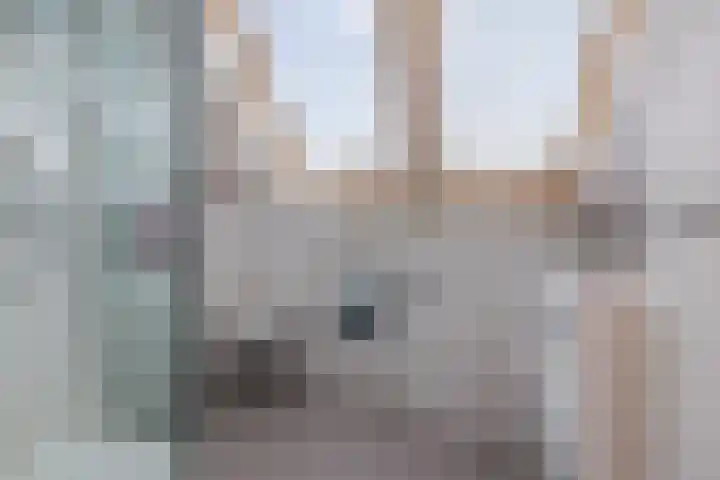 Toverberg 13 Veldhoven thumbnail 37