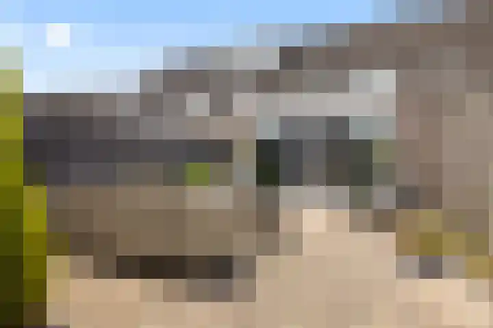 Toverberg 13 Veldhoven thumbnail 4
