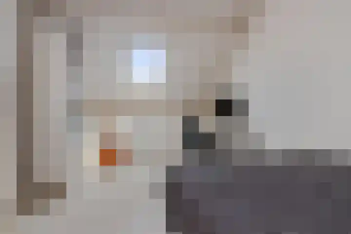 Toverberg 13 Veldhoven thumbnail 41