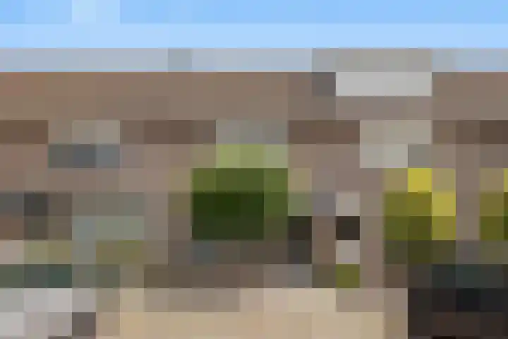 Toverberg 13 Veldhoven thumbnail 5