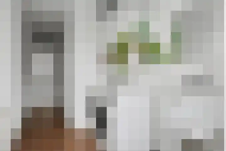 Toverberg 17 Veldhoven thumbnail 18