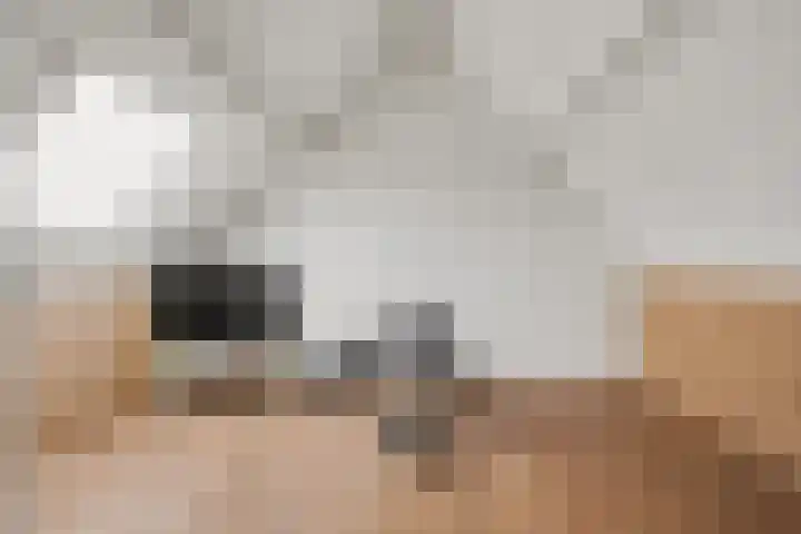 Toverberg 17 Veldhoven thumbnail 30