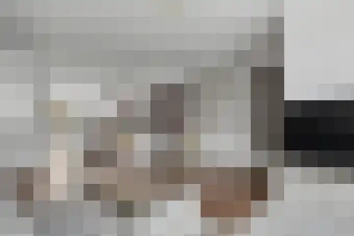 Toverberg 17 Veldhoven thumbnail 8
