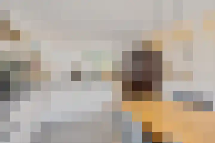 Toverberg 25 Zoetermeer thumbnail 17
