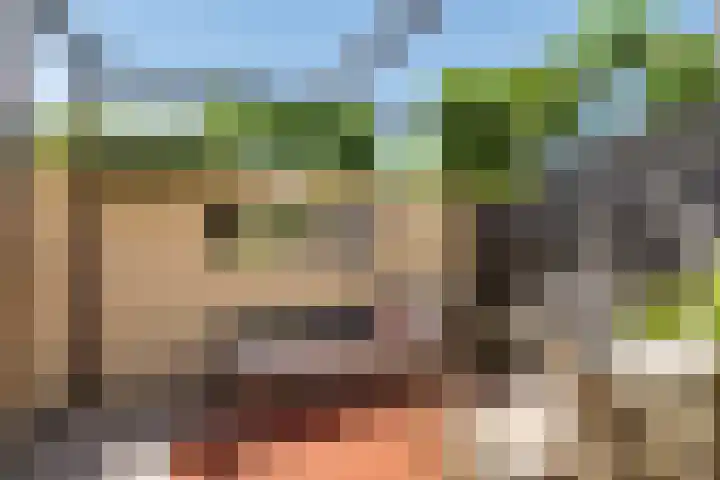 Toverberg 25 Zoetermeer thumbnail 29