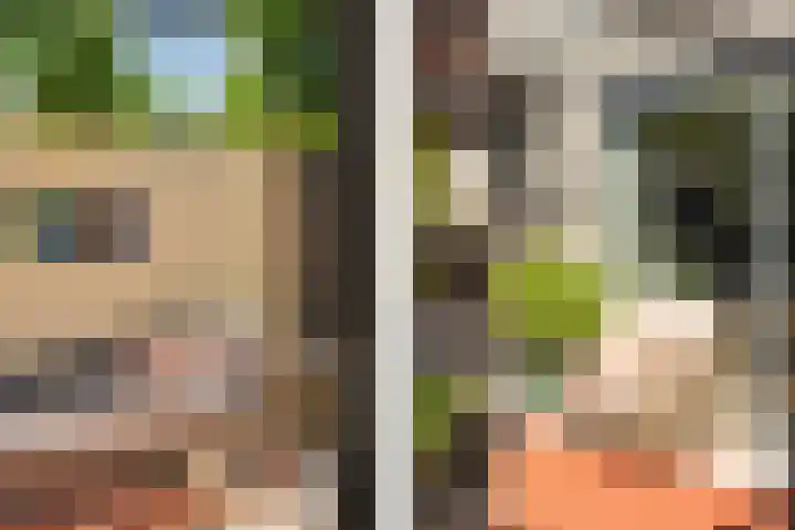 Toverberg 25 Zoetermeer thumbnail 30