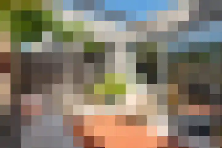 Toverberg 25 Zoetermeer thumbnail 31