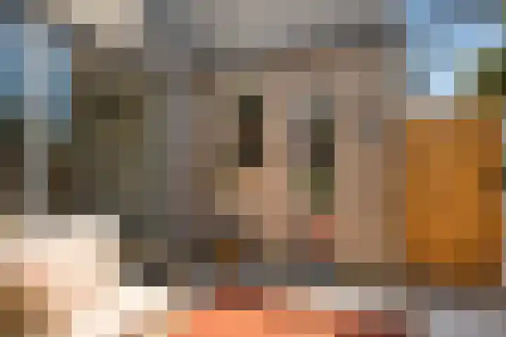 Toverberg 25 Zoetermeer thumbnail 32