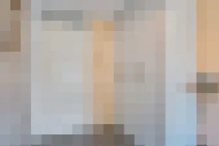 Toverberg 25 Zoetermeer thumbnail 43