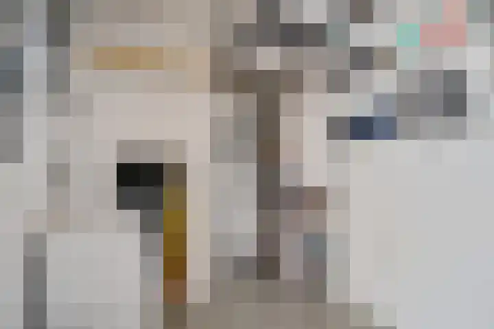 Toverberg 25 Zoetermeer thumbnail 54