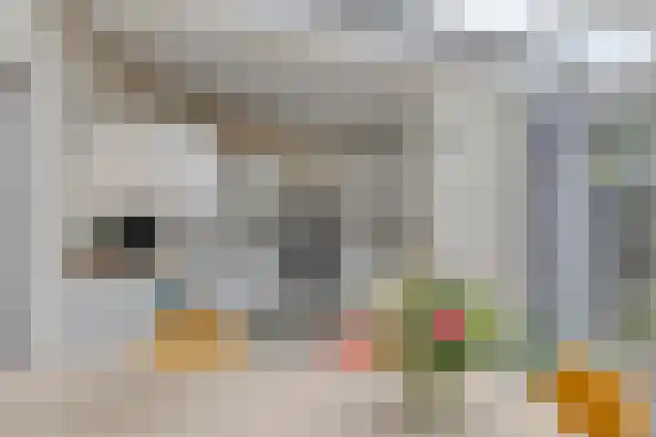 Toverberg 7 Veldhoven thumbnail 13