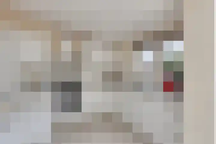 Toverberg 7 Veldhoven thumbnail 14