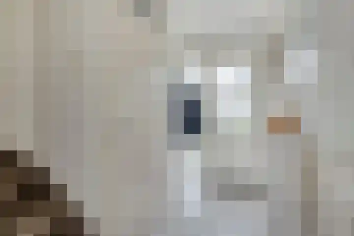 Toverberg 7 Veldhoven thumbnail 17