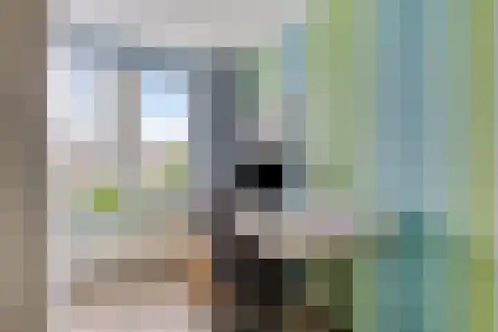 Toverberg 7 Veldhoven thumbnail 22