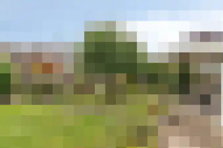 Toverberg 7 Veldhoven thumbnail 37