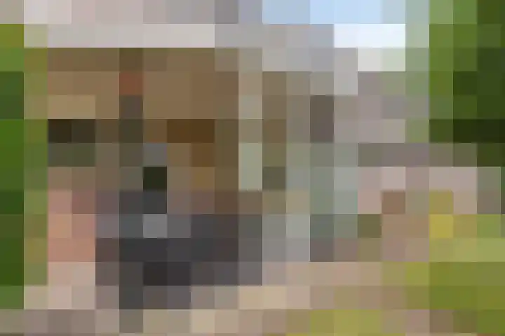 Toverberg 7 Veldhoven thumbnail 38