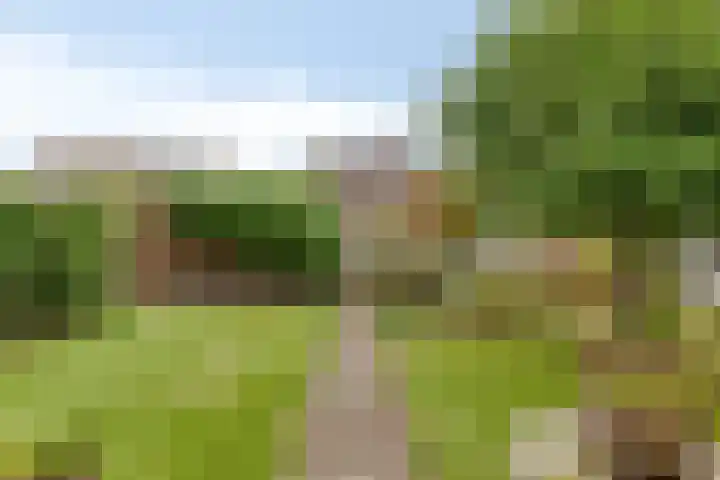 Toverberg 7 Veldhoven thumbnail 39