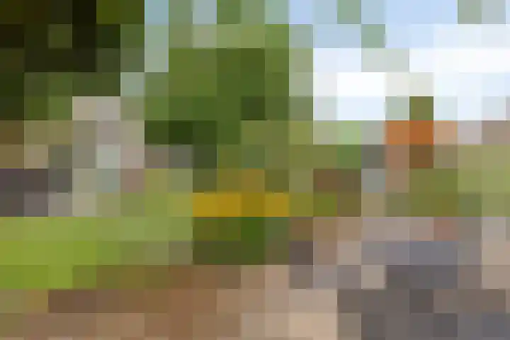 Toverberg 7 Veldhoven thumbnail 40