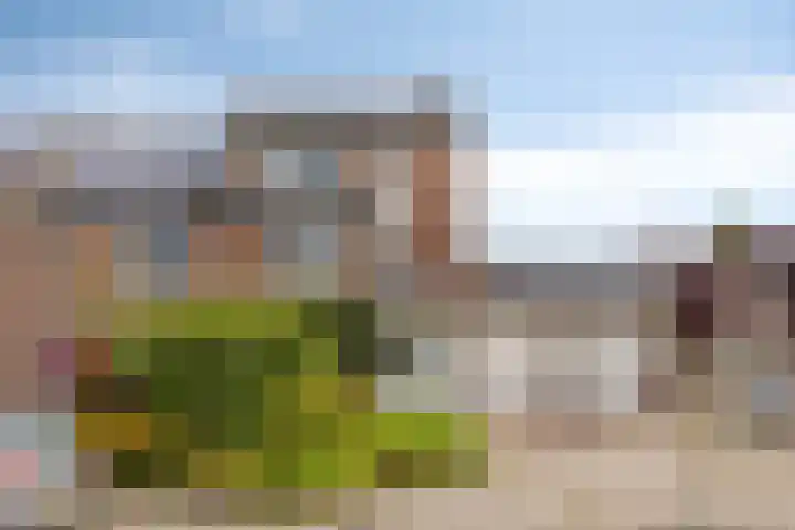 Toverberg 7 Veldhoven thumbnail 46