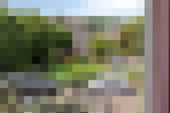 Toverberg 7 Veldhoven thumbnail 49