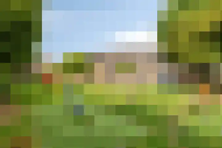 Toverberg 7 Veldhoven thumbnail 50