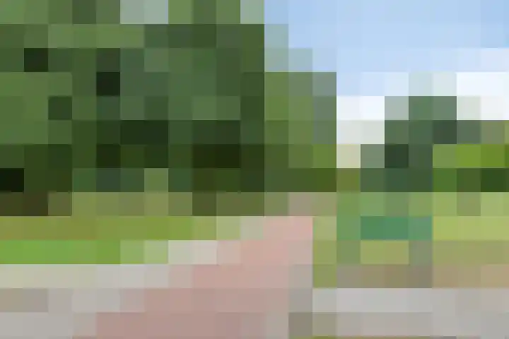 Toverberg 7 Veldhoven thumbnail 51