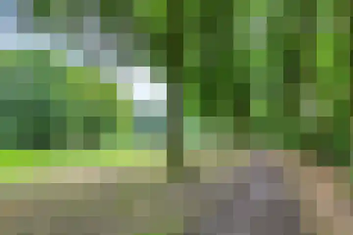 Toverberg 7 Veldhoven thumbnail 52